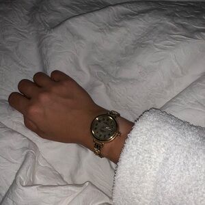 Shinola The Petoskey Birdy